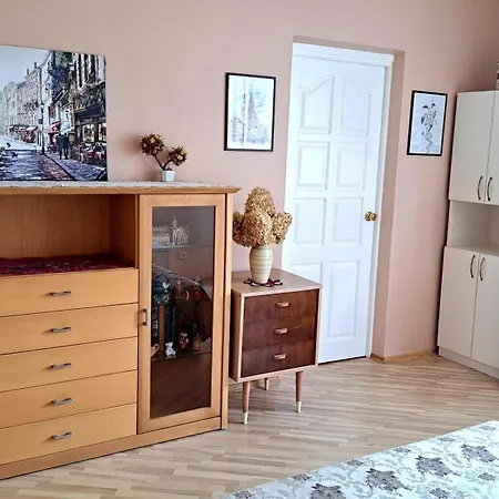 Spacious Four-room In Naujamiestis Apartmán Vilnius