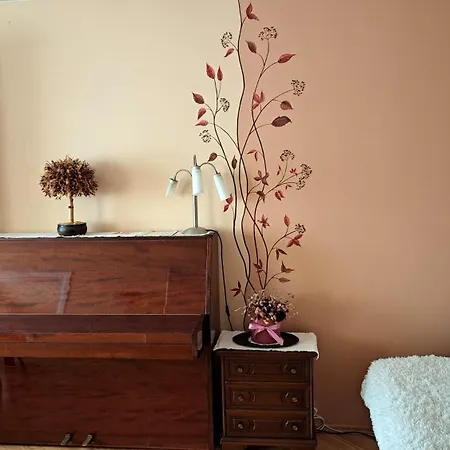 Spacious Four-room In Naujamiestis *