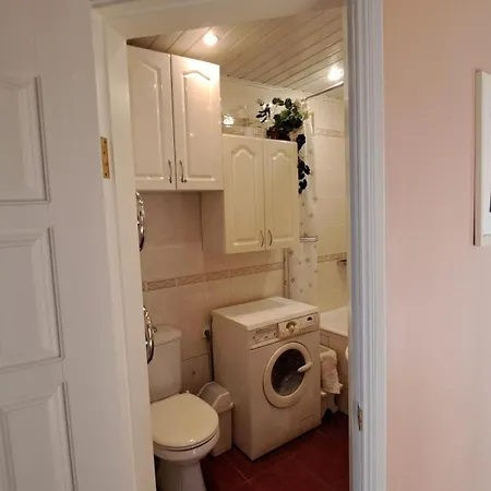 Apartmán Spacious Four-room In Naujamiestis