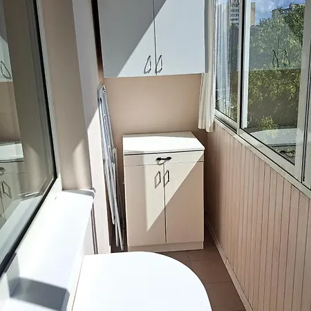Spacious Four-room In Naujamiestis *