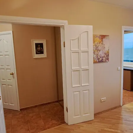 Spacious Four-room In Naujamiestis Appartement *